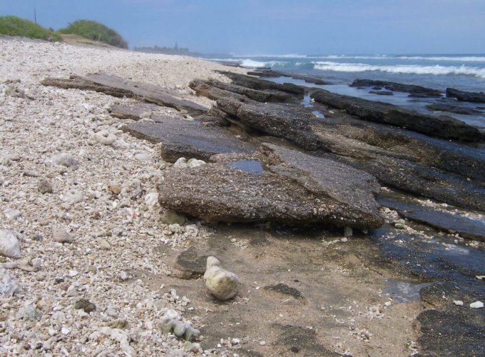 Best Travel Company in India