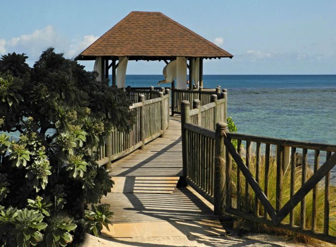 Best Travel Company in India